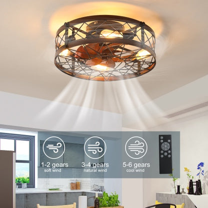 Cage Ceiling Fan With Light, Black