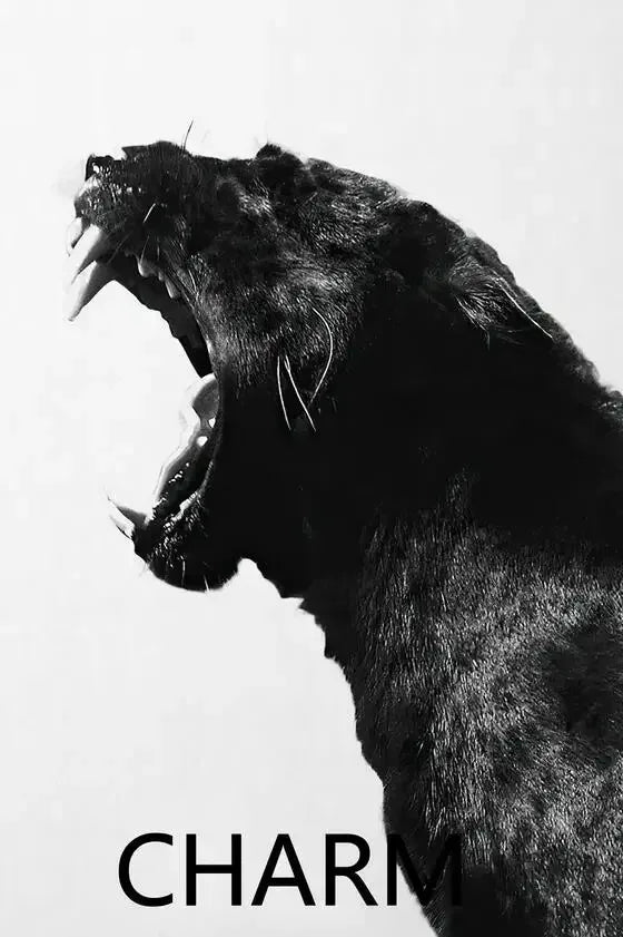 Peinture Fashion noir et blanc